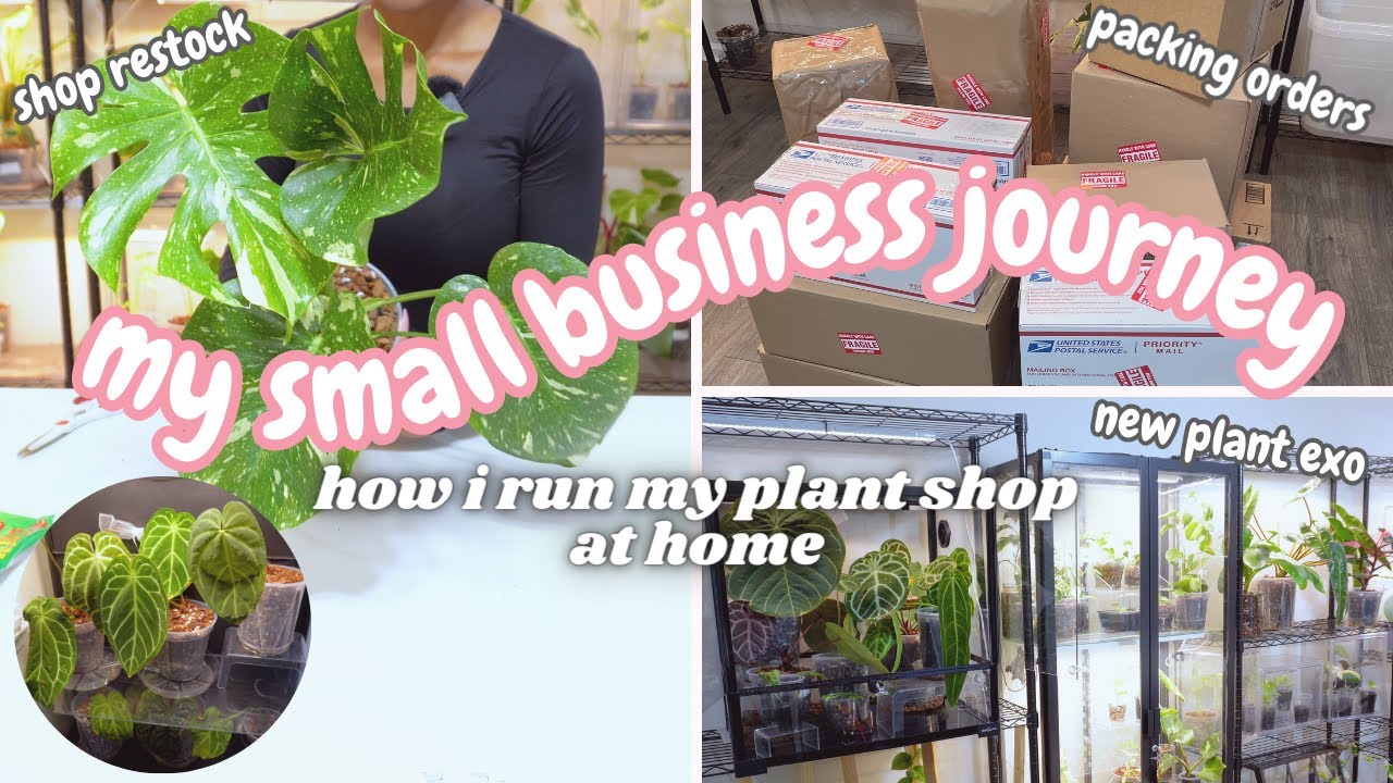 Путь малого бизнеса: новые растения, обновления теплиц, пополнение запасов растений, заказы на уп...