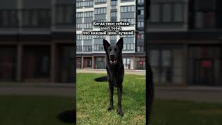 Солнце светит хорошо