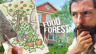 I turned my front yard into a FOOD FOREST in 1 year*
