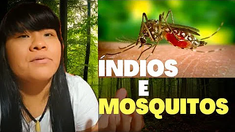 Que cheiro espanta mosquitos?