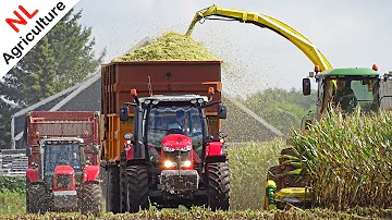 Mais Hakselen | John Deere + Massey Ferguson + New Holland | Ploeg | Vlastuin | Ederveen | 2019