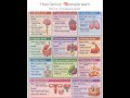 Human  all vital Organ