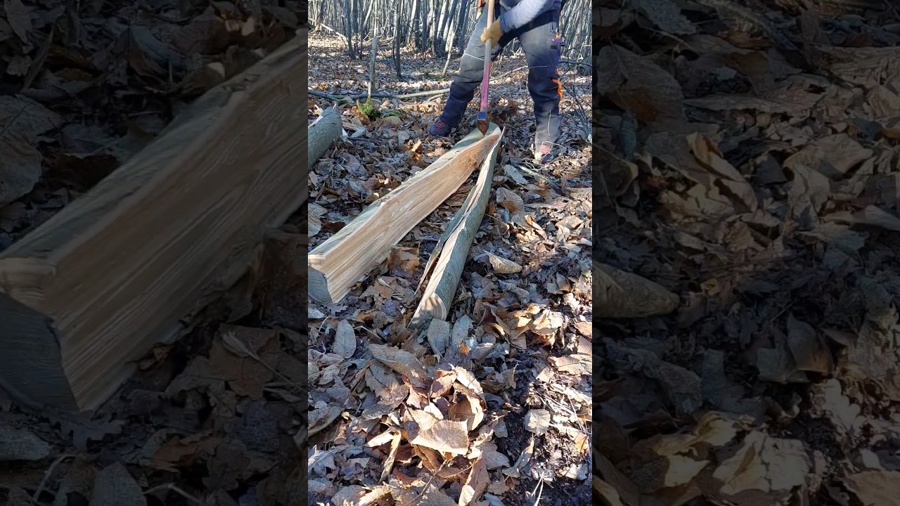 Log Splitting - Sweet Chestnut