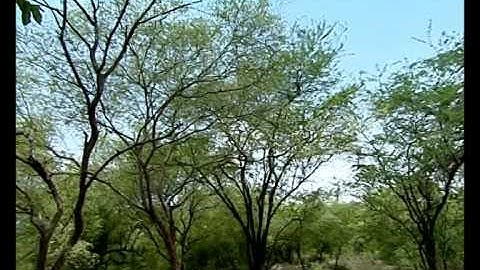 Delhi Metro: The Journey towards Excellence- (HD)