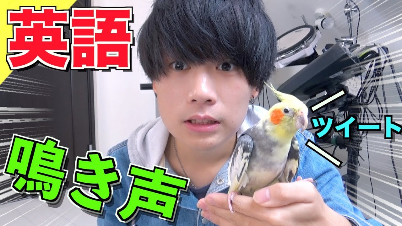 衝撃 英語で表現する動物の鳴き声が意外すぎた Youtube