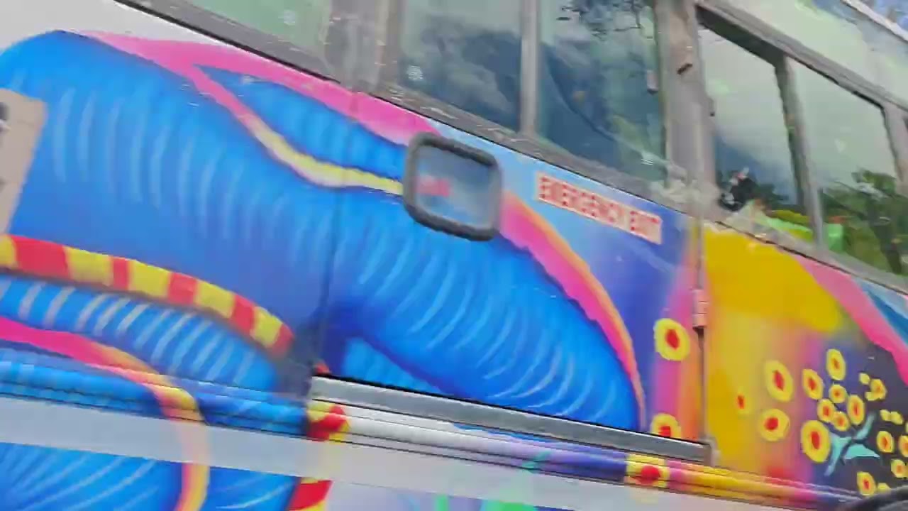 Middle of greenery chikamangalore hill station mullayanagiri Peak Z Point 