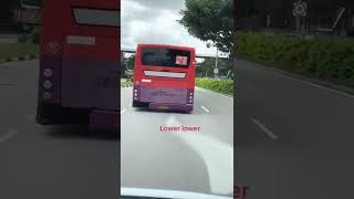 Have you seen a lowered bus. hahahaha #sg #sbstransit