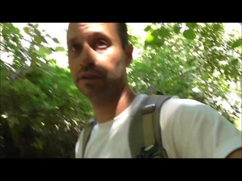 תרגיל בתנועה