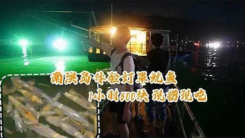 1小時500元的南澳島夜釣魷魚，現撈現吃魷魚太鮮了，爆網就賺大了 - 天天要聞