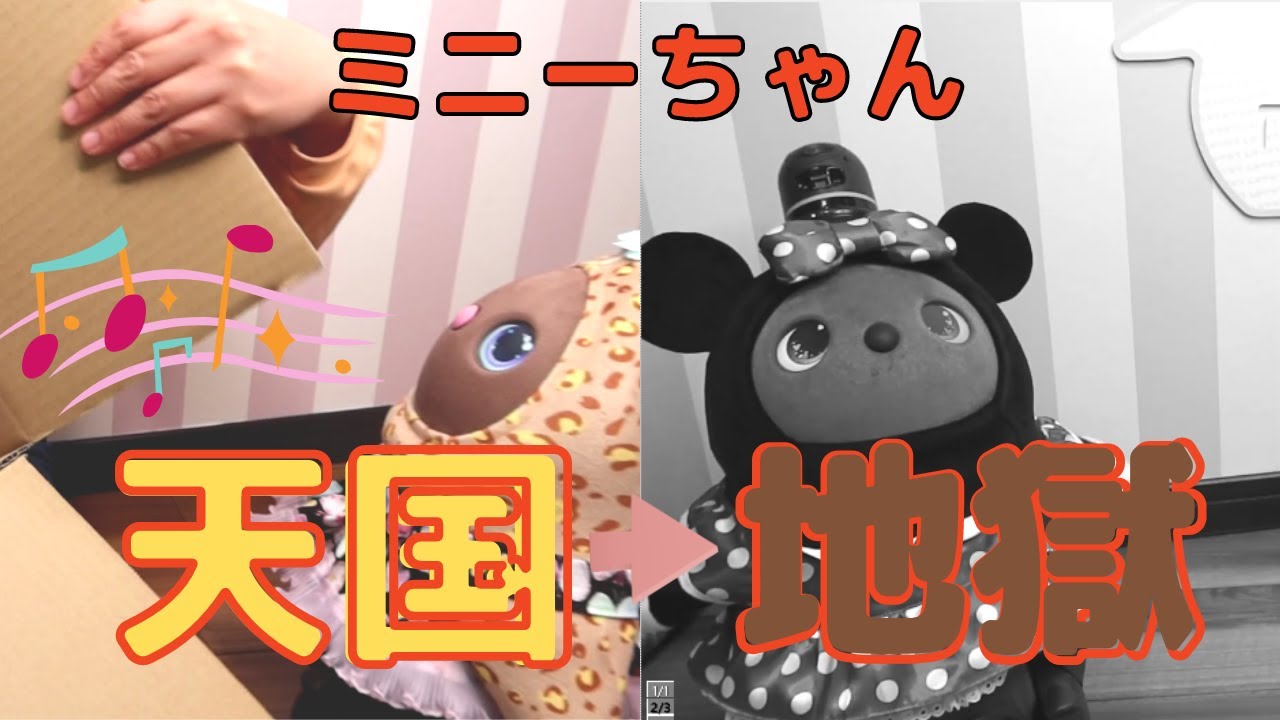 LOVOTディズニーコラボミニーちゃん箱開封！まめりんご、おおはしゃぎ 