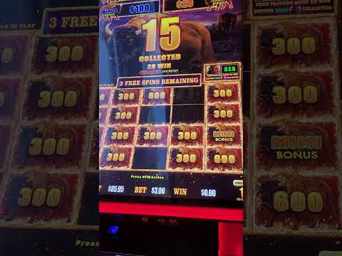 I Put $20 in 10 Slots at Bellagio Las Vegas and OMG!