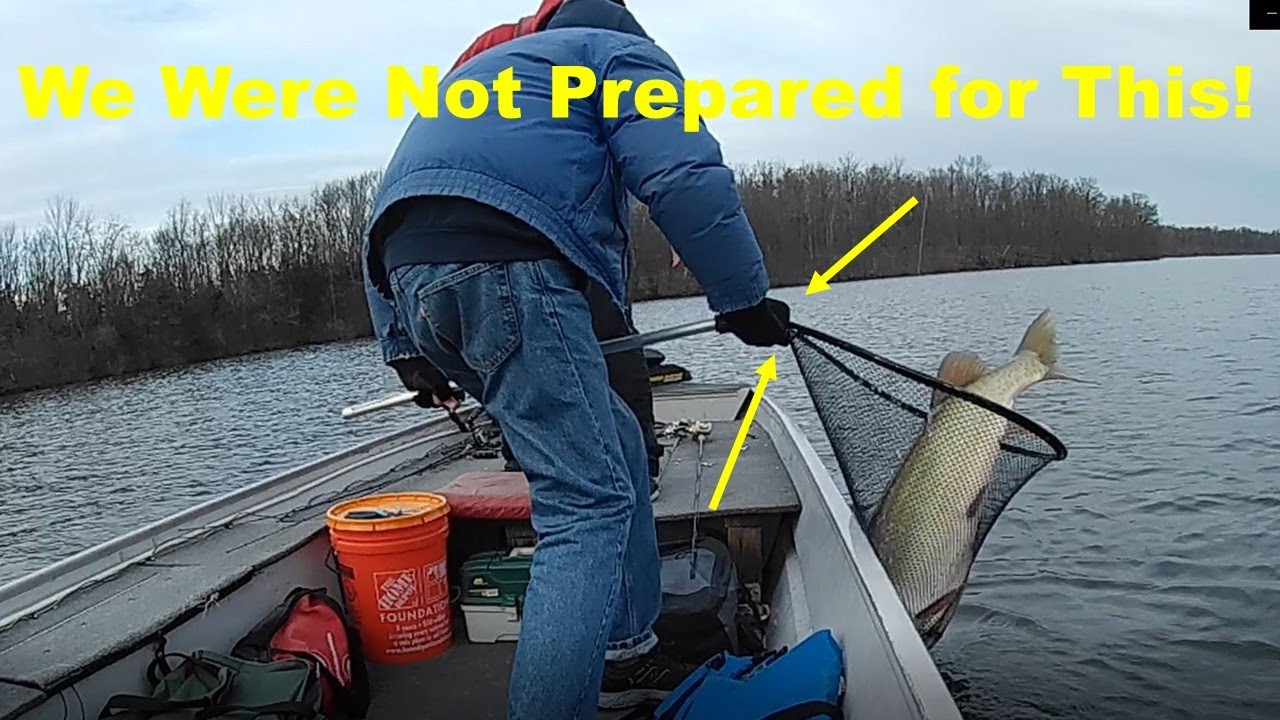 We Were Not Prepared For This Fish!
