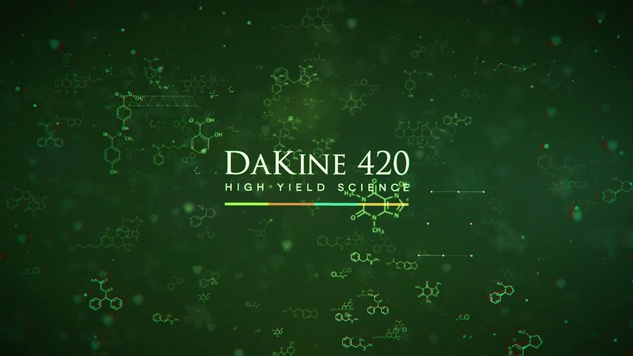 Popular Strain Reviews: Gorilla Glue #4