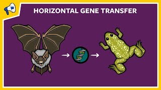 What is Horizontal Gene Transfer?