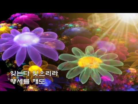 이호섭   💖태종대의 밤 💖(가사)