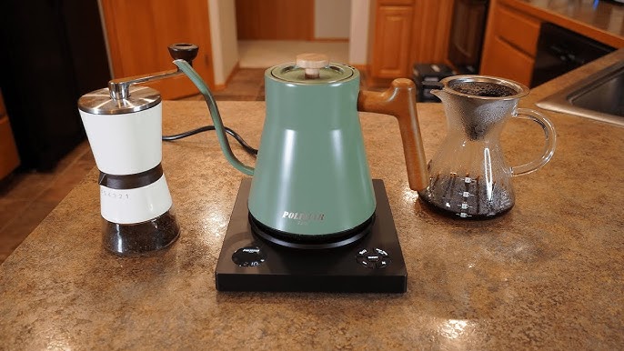 Intasting electric gooseneck kettle review and demo by Sara 