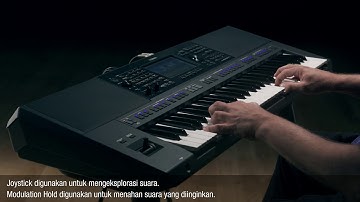 PSR-SX SERIES - JOYSTICK: Modulation Hold