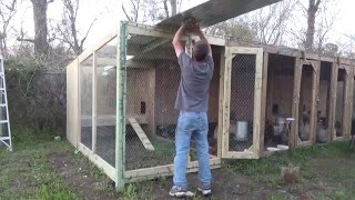 Adding one more cage onto the Louisiana Coop.