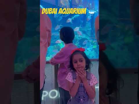 Dubai Aquarium 🦈