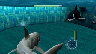 Jaws Unleashed - Great White Shark vs Killer Whale screenshot 5