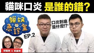 【貓咪口炎是誰的錯】貓奴急診室EP.2 志銘與狸貓