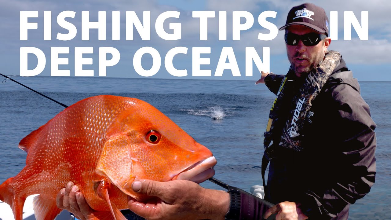 Deep Rigs - Fishing World Australia