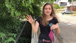 Route 1, Site 6: Rover Pipeline in Shadyside, OH