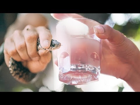 Drinking Snake Blood & Eating Snake In Vietnam