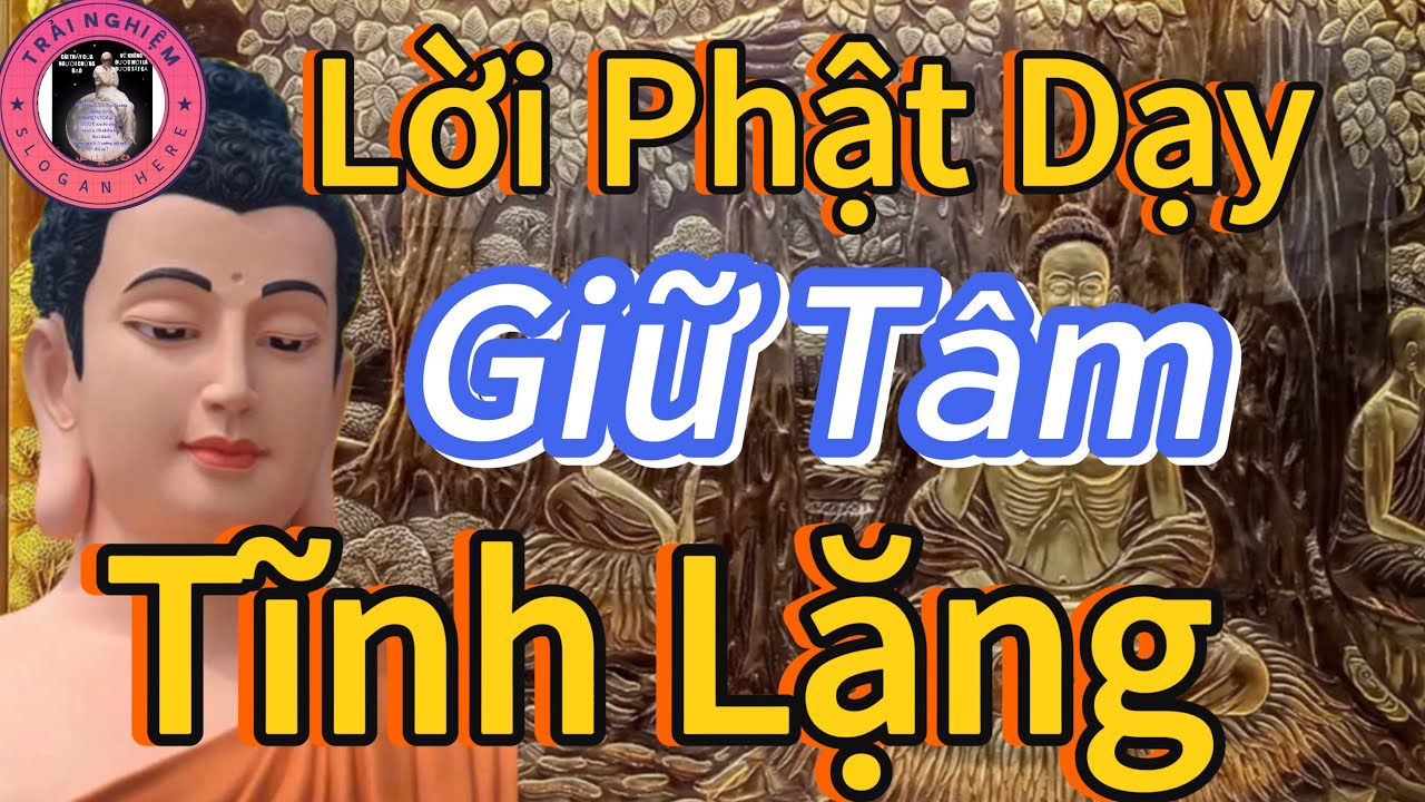 Giữ Tâm Tĩnh Lặng Buông Bỏ Cho Đời Nhẹ Hơn 