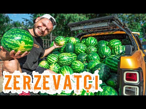 ZERZEVATÇI OLDUM! REXX İLE KARPUZ SATTIM! ( YENİ SERİ )