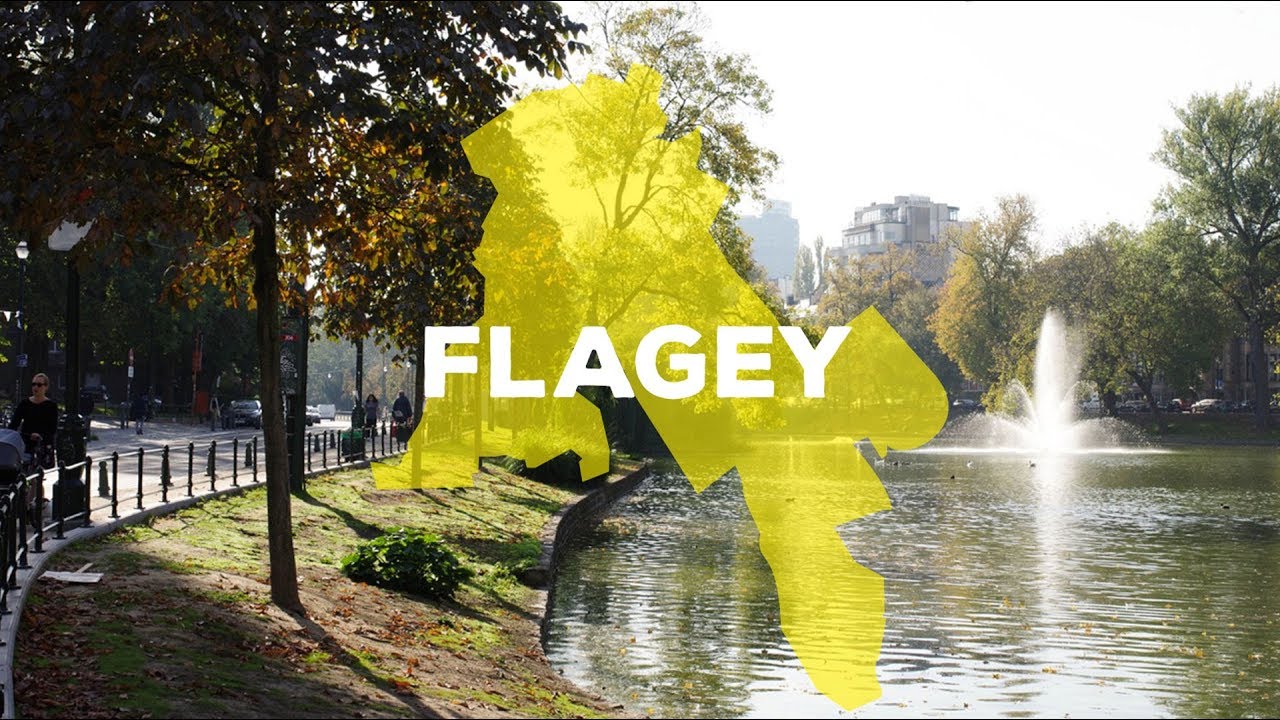 Meet My Hood - Flagey
