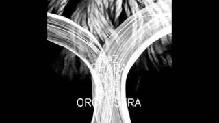 Raz Ohara - Raz Ohara And The Odd Orchestra II - Wildbirds