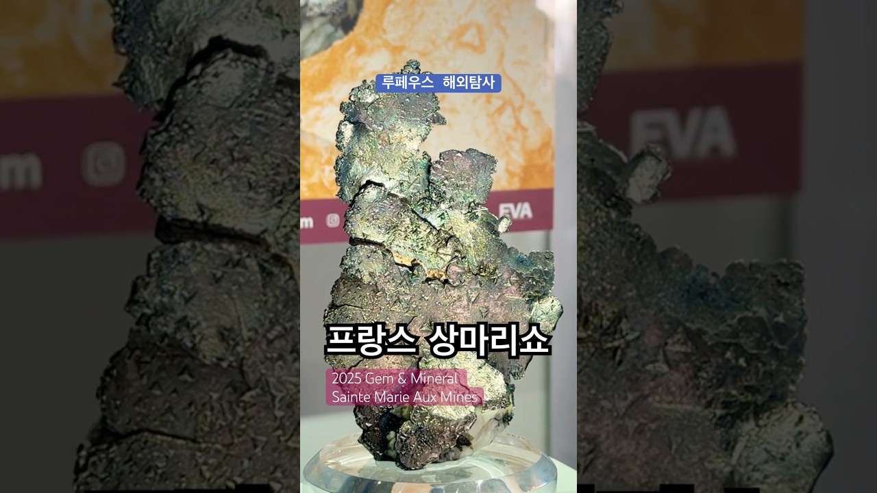 2025 Sainte marie aux mine Gem mineral show 프랑스 미네랄쇼
