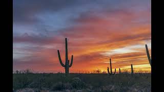 Sunset in Saguaro National Park Time Lapse