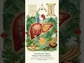 Mastering Detox: The 2-Hour Rule Explained | Short