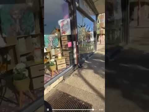 'Lluvia' de garrapatas