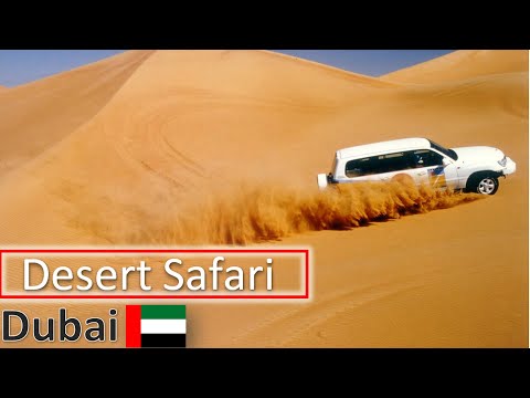 Desert safari in Dubai || Dubai desert safari || Desert safari Dubai