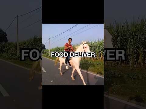I Delivered food on a Horse