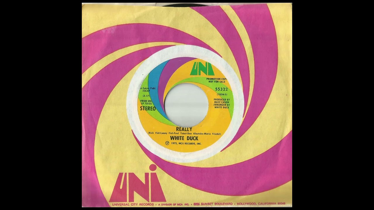 WHITE DUCK - Really (1972) [promo 45rpm, edited version]