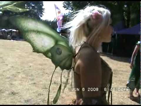 Renae Taylor's Handmade Faerie WINGS!