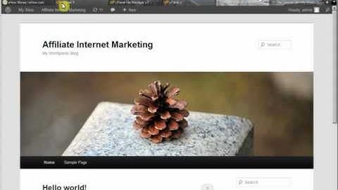 Easy Business Builder Multisite Installation Part 2.FLV