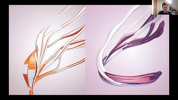 Marcin Ignac - Variable