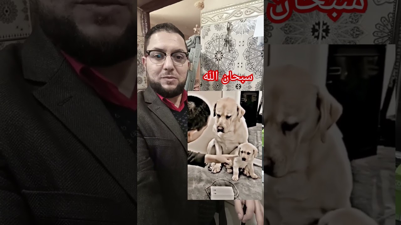 رحمة الله حتى في قلب الحيوان