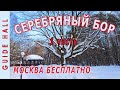 СЕРЕБРЯНЫЙ БОР ЗИМА 2022 (1 ч) - зимний отдых на природе как на даче, лучшие в Москве пляжи и лыжня!