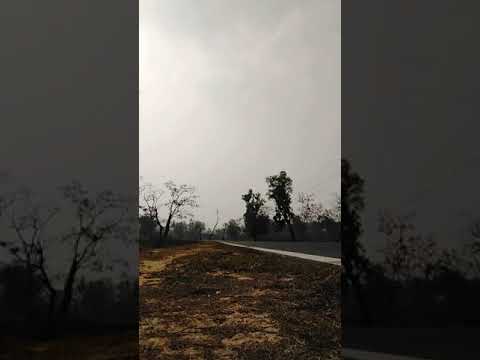 Prince Movie Theme Music