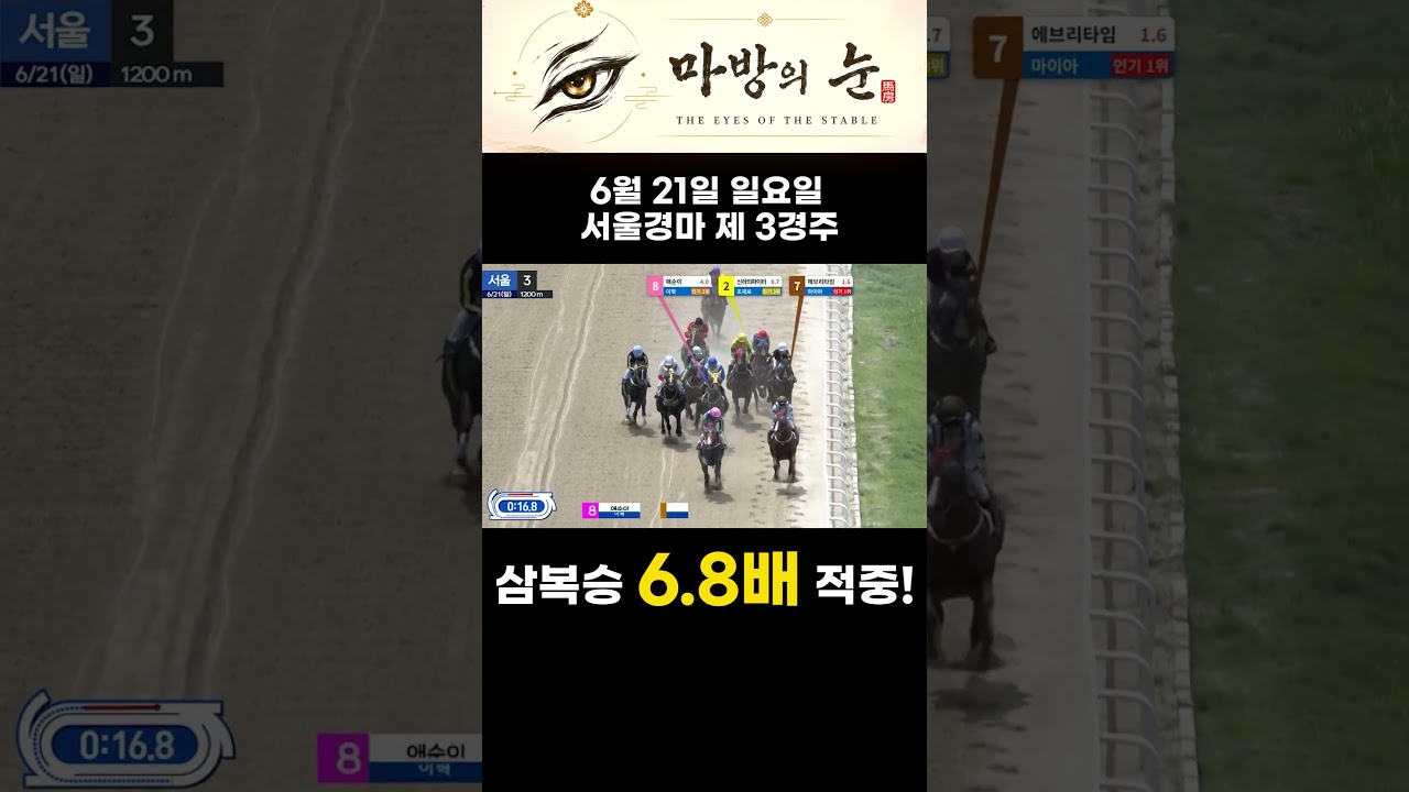 6월 21일 서울 제3경주 삼복승 6.8배 가볍게 적중!