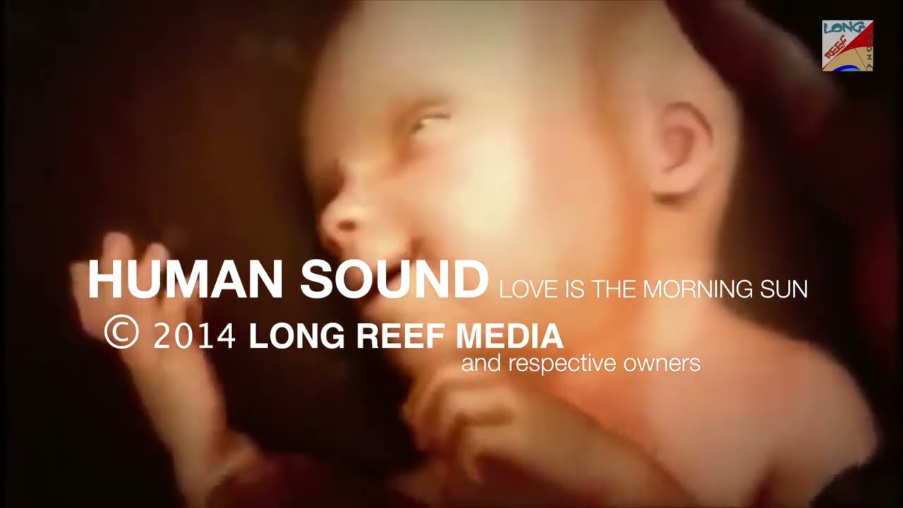 Love Is The Morning Sun featuring Barry Andrews