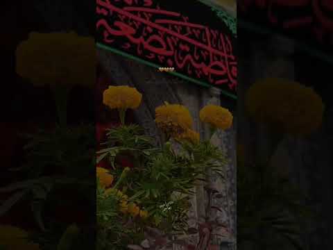 أشهد أشهد يازمن قحطان البديري