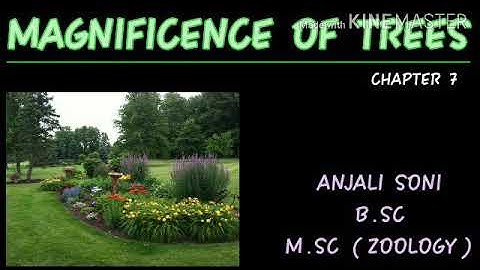 Class 5th/ EVS/ RBSE/ Chapter 7/ MAGNIFICENCE OF TREES
