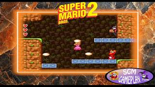 WORLD 3-1-SUPER MARIO BROS 2
